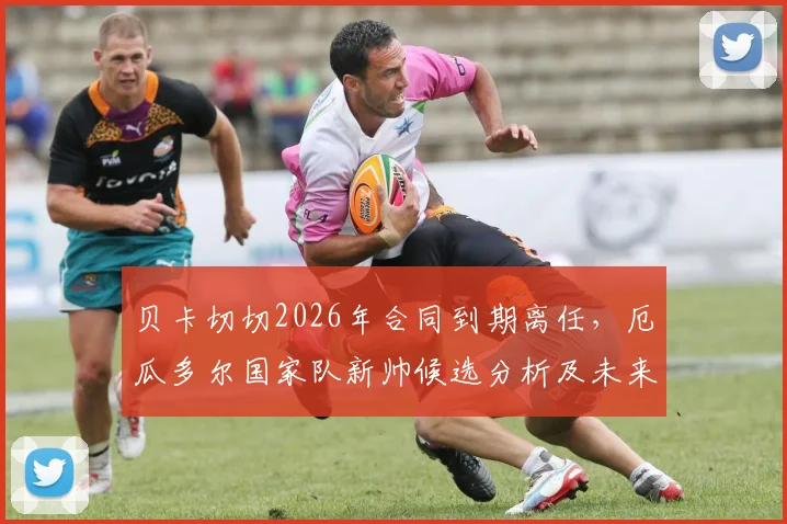 贝卡切切2026年合同到期离任,厄瓜多尔国家队新帅候选分析及未来战术走向展望